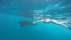 Manta Point Nusa Penida